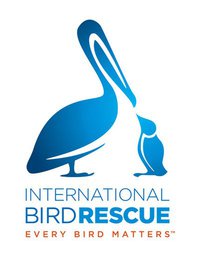 International Bird Rescue