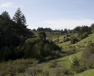 Trail at Long Ridge Open Space