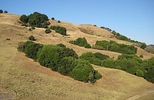 Lime Ridge Open Space